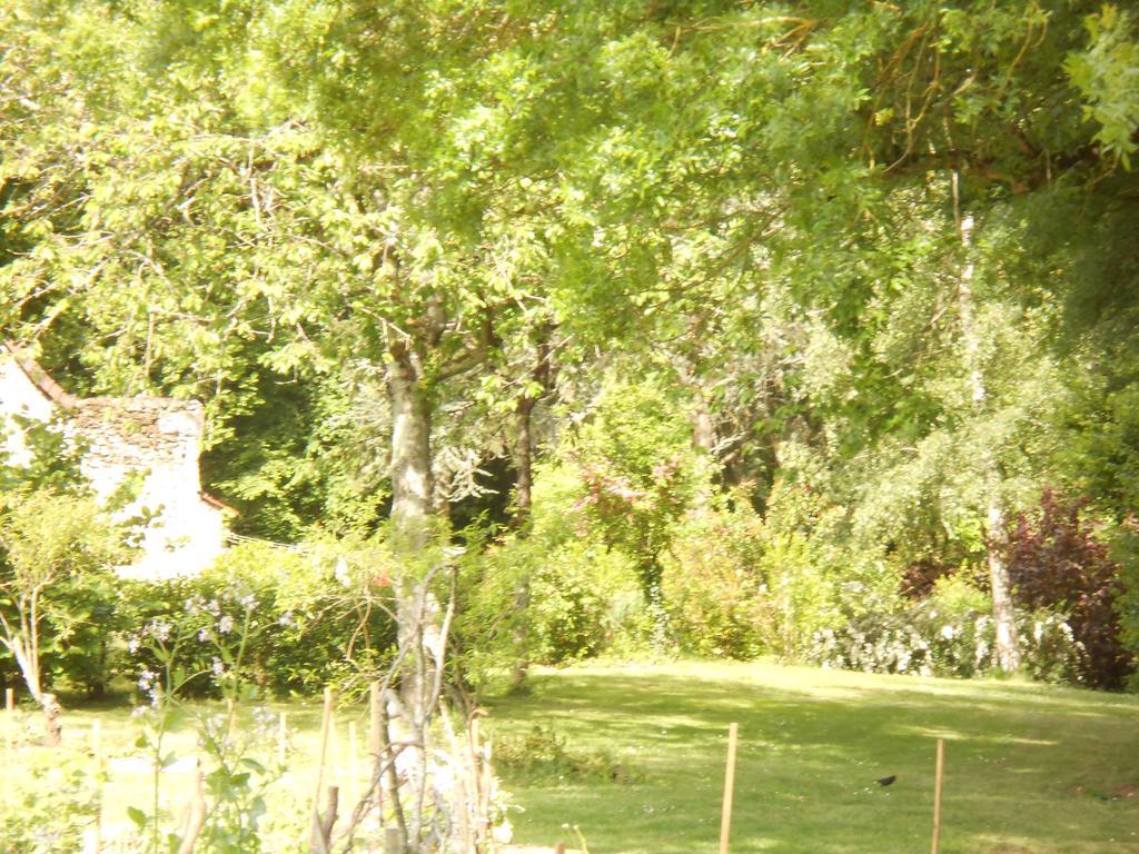 La Ferme Des Bordes 3* Pontlevoy