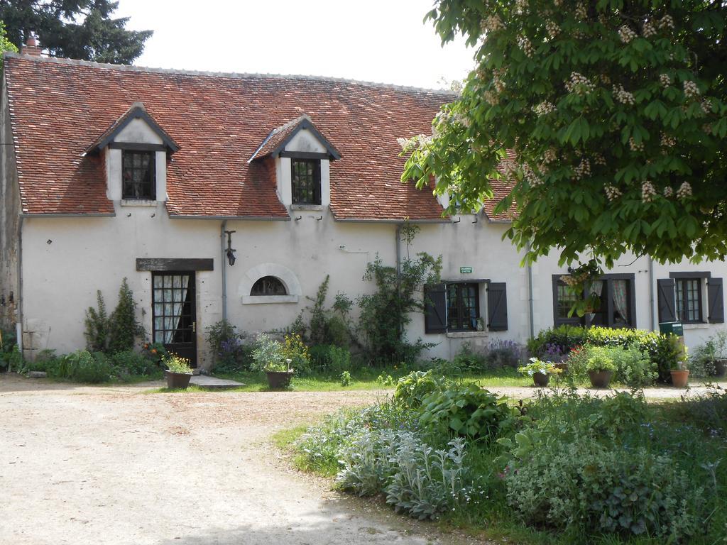 La Ferme Des Bordes Bed & Breakfast Pontlevoy